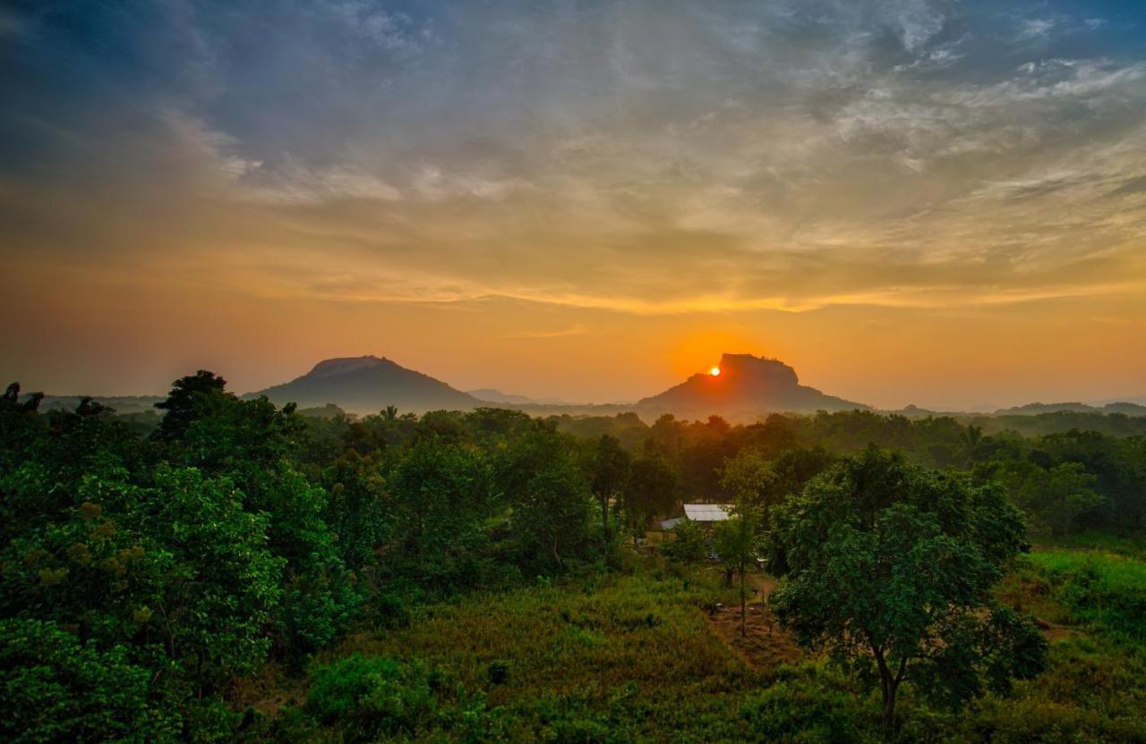 Choona Lodge 'View Of Sigiriya & Pidurangala With Sunrise' Eksteriør bilde