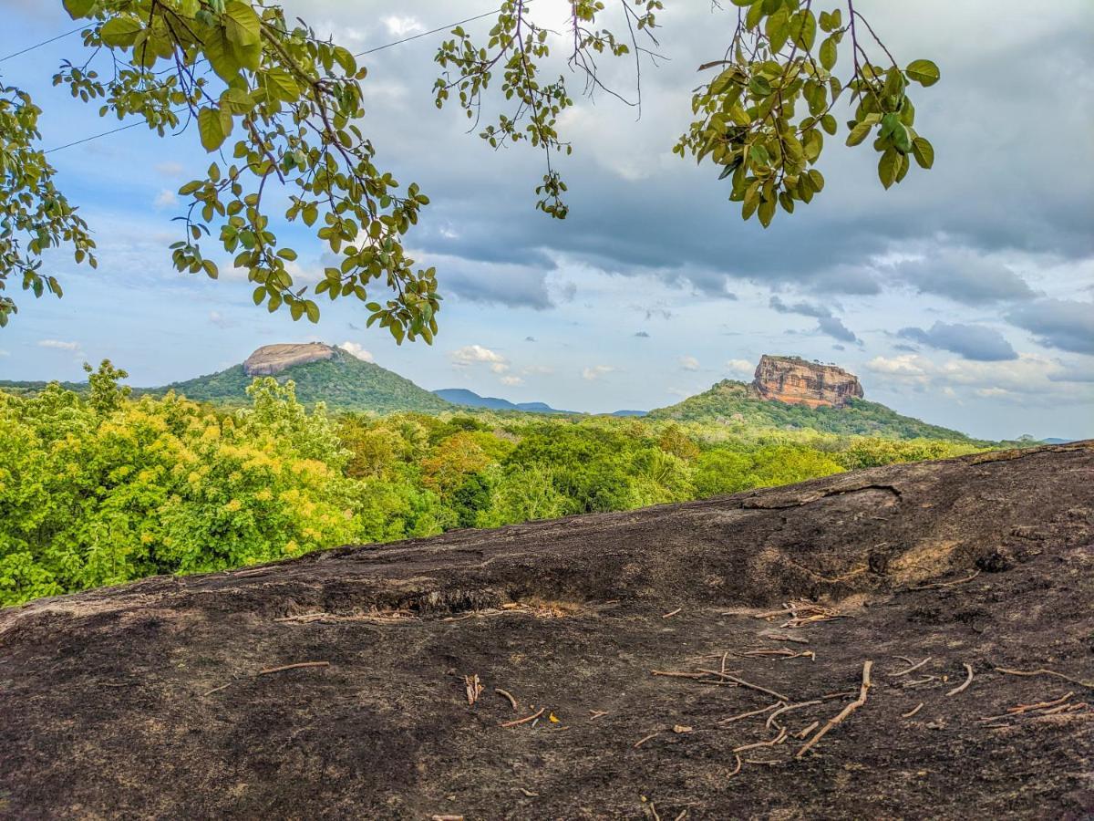 Choona Lodge 'View Of Sigiriya & Pidurangala With Sunrise' Eksteriør bilde